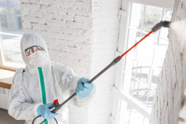 Best Indoor Air Quality Assessment  in Stanford, KY