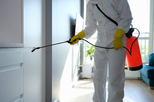 Mold Odor Removal Services in Stanford, KY