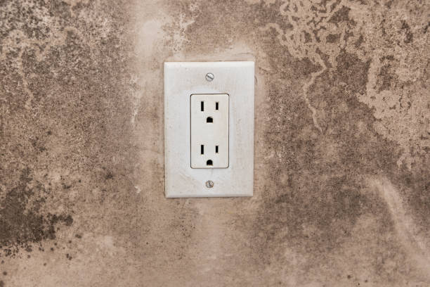 Best Mold Prevention Services  in Stanford, KY